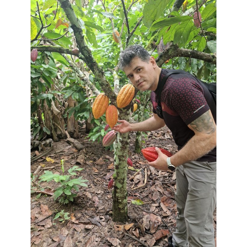 Cacao Ceremonial Orgánico Ashaninka - 250g - Peru