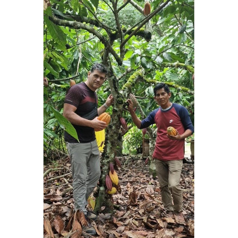 Cacao Ceremonial Orgánico Ashaninka - 250g - Peru