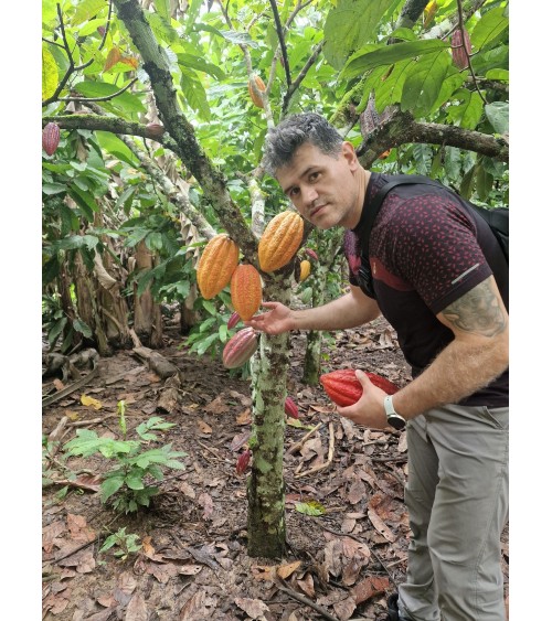 Cacao Ceremonial Orgánico, 1Kg de la Tribu Ashaninkas en Perú