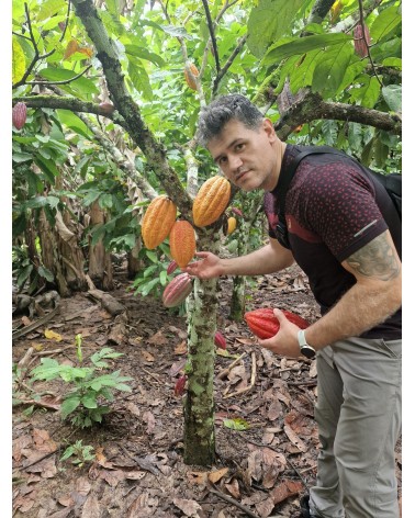 Cacao Ceremonial Orgánico, 1Kg de la Tribu Ashaninkas en Perú