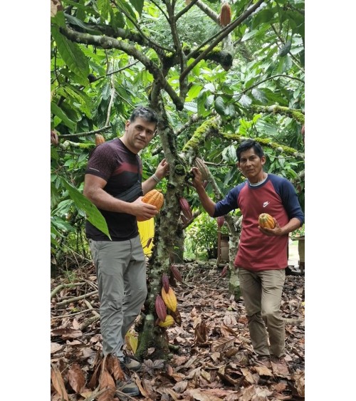 Cacao Ceremonial Orgánico, 1Kg de la Tribu Ashaninkas en Perú