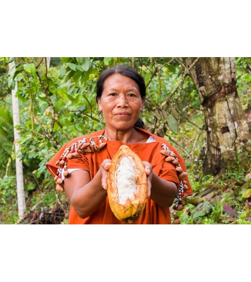 Cacao Ceremonial Orgánico, 1Kg de la Tribu Ashaninkas en Perú