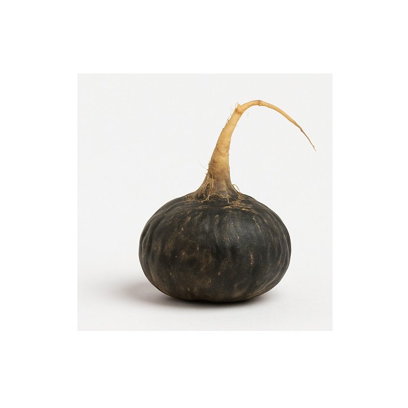 Black Maca Root Powder Gelatinized - Vegan - 250g - From Peru