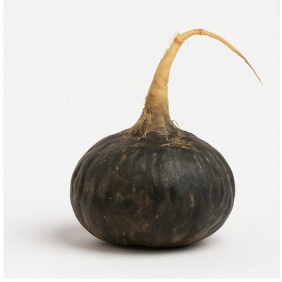 Raíz de Maca Negra Orgánica Gelatinizada