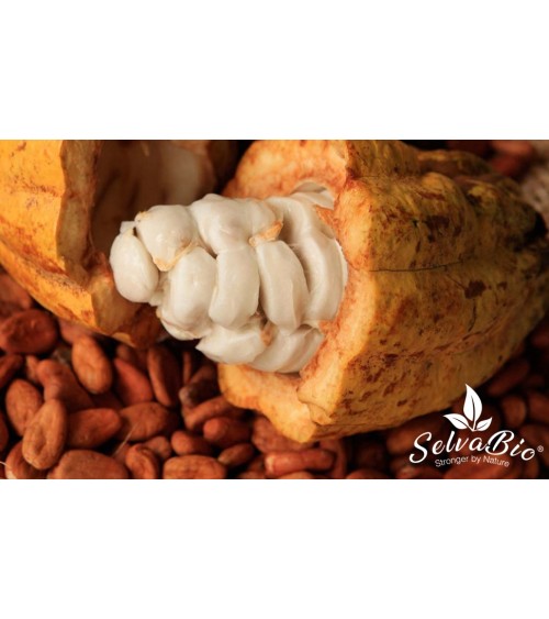 SelvaBio Organic Cacao Powder, Criollo Variety, 250g