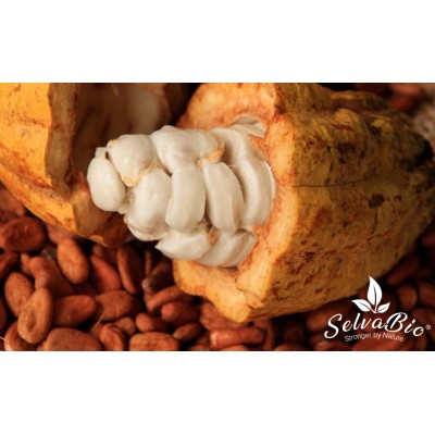 SelvaBio Organic Cacao Powder, Criollo Variety, 250g