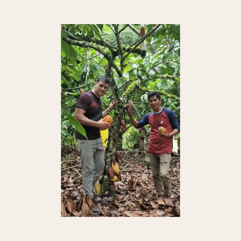 Cacao Ceremonial Orgánico - 1Kg  - del Perú