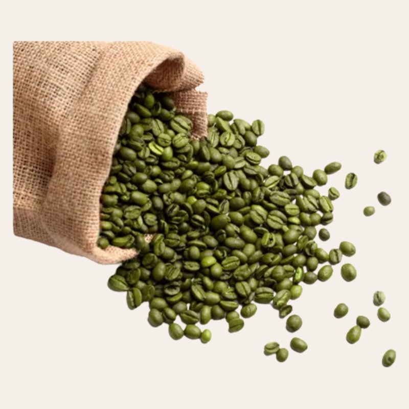 Cafe Verde Organico en Polvo SelvaBio