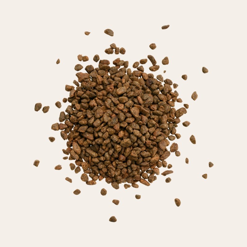 Cacao Nibs with Yacón & Panela 100g