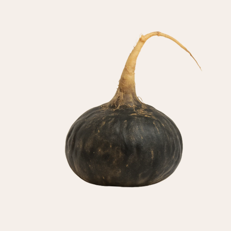 Black Maca Root Powder Gelatinized - Vegan - 250g - From Peru
